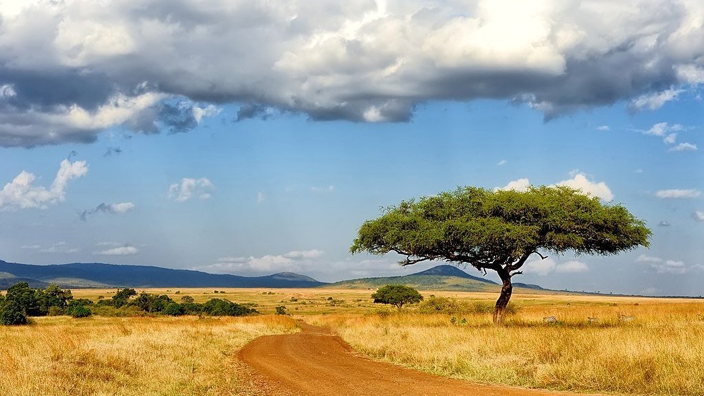 Masai Mara, un trésor naturel au sud-ouest du Kenya
