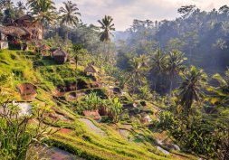 Bali : Ubud