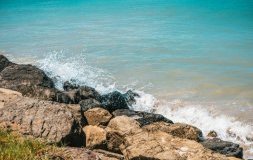 Martinique, l'île aux Fleurs