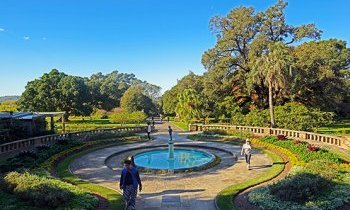 Sydney : Le Royal Botanic Gardens