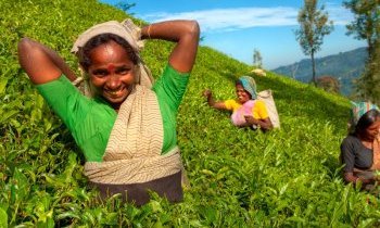 Vacances de Noel en Inde du sud