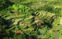 Les rizières en terrasses de Batad aux Philippines