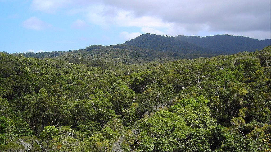 Kuranda : un village au cœur de la forêt tropicale