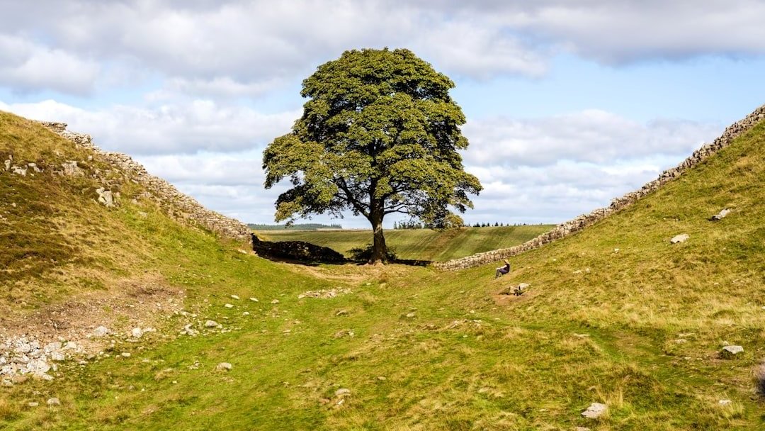 Le Mur d'Hadrien, le passé romain de l'Angleterre