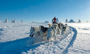 Rovaniemi et la Laponie