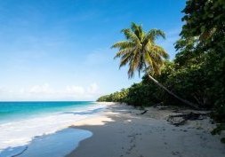 Guadeloupe, paradis des Caraibes