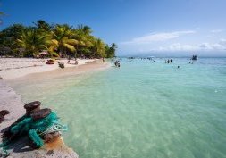 Pointe-à-Pitre, joyau historique et culturel de la Guadeloupe