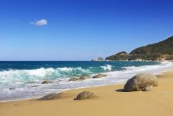 Toshijima, Okinawa, Oki, Miyajima, Yakushima découverte des îles japonaises