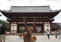  Nara, Le Berceau du Japon
