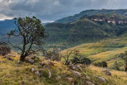 Afrique du Sud