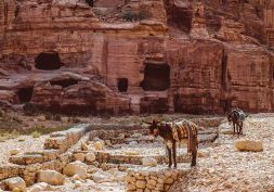 Comment profiter de son voyage en Jordanie ?