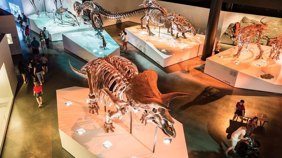 Le top 6 des musées les plus visités aux Etats-Unis