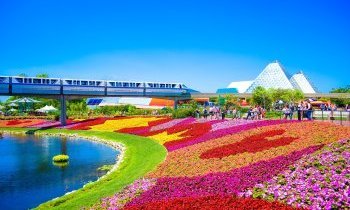 Découvrir Orlando en Floride