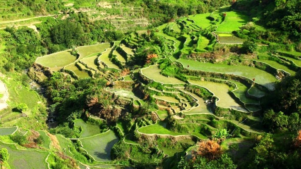 Les rizières en terrasses de Batad aux Philippines