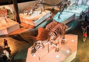 Le top 6 des musées les plus visités aux Etats-Unis