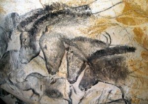 La grotte Chauvet en Ardèche