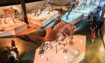 Le top 6 des musées les plus visités aux Etats-Unis