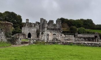 Abbaye de Mellifont