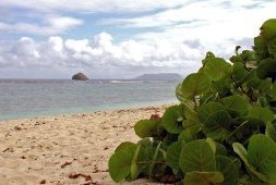 5 merveilles naturelles en Guadeloupe