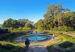 Sydney : Le Royal Botanic Gardens