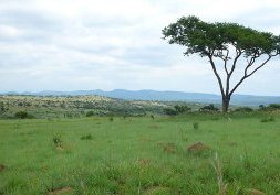 Visiter le Kwazulu-Natal