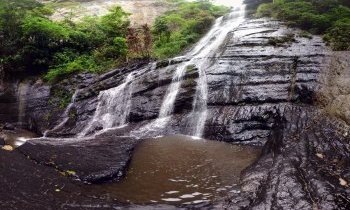 Sejour Venezuela, La Cueva del Guacharo