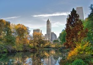 New York : Central Park