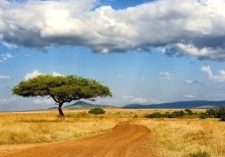 Masai Mara, un trésor naturel au sud-ouest du Kenya