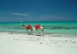 Vacances à Djerba