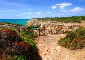 De l'Algarve à Madère, découvrez les trésors naturels uniques du Portugal