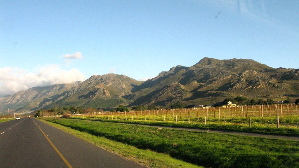 A la découverte des vignobles d'Afrique du Sud