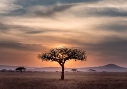 Tanzanie, entre savanes et plages idylliques