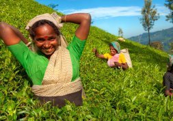 Vacances de Noel en Inde du sud