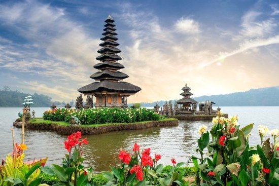 Bali : Les rizières