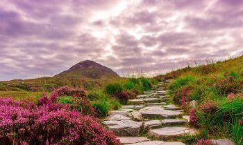 Que voir, que faire en Irlande ?