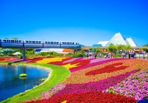 Découvrir Orlando en Floride