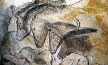 La grotte Chauvet en Ardèche