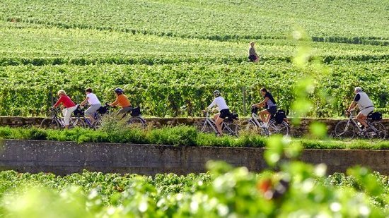 Cyclotourisme en Bourgogne