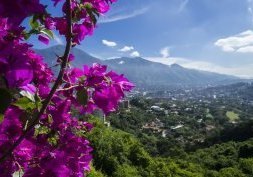 Sejour Venezuela, l'Etat de Miranda