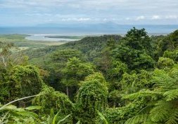 Parc national de Daintree