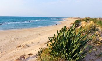 Guide de voyage en Israël