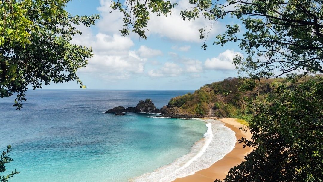 L'archipel de Fernando de Noronha et l'atoll des Rocas