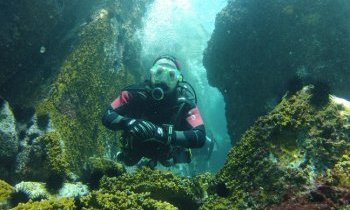7 meilleurs endroits pour faire de la plongée au Brésil