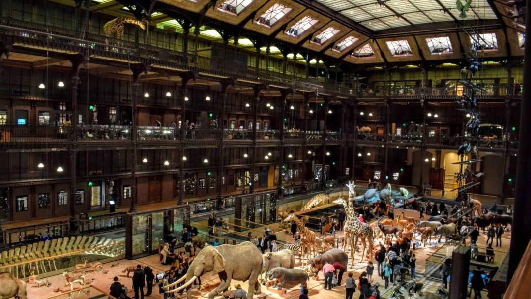 Paris, la grande galerie de l'évolution