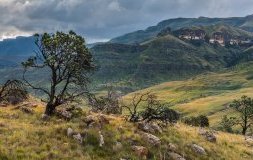 Afrique du Sud