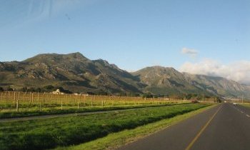 A la découverte des vignobles d'Afrique du Sud