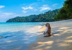 Plus belles plages de Thailande