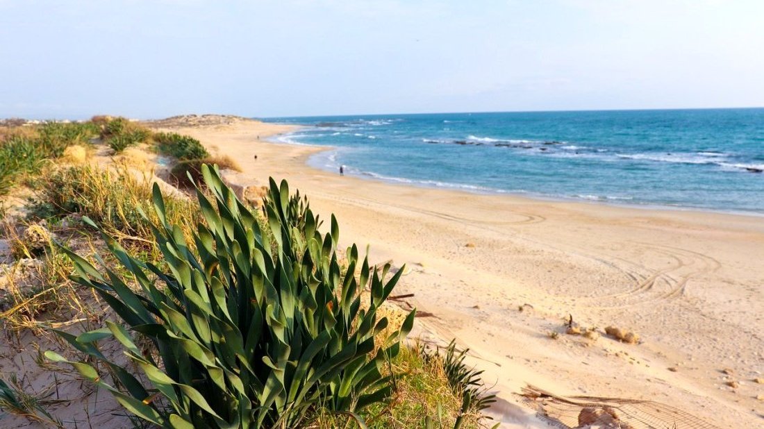 Guide de voyage en Israël