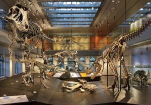 Los Angeles : Natural History Museum of LA county