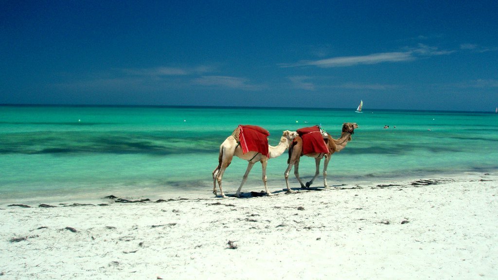 Vacances à Djerba